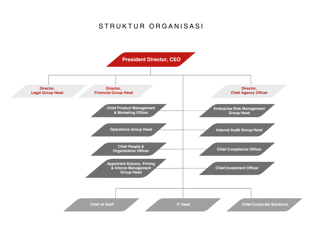 Organizational Structure